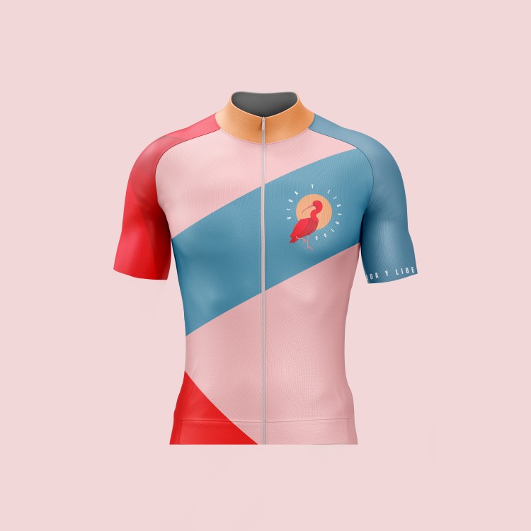 Click to read more about this jersey and its story.